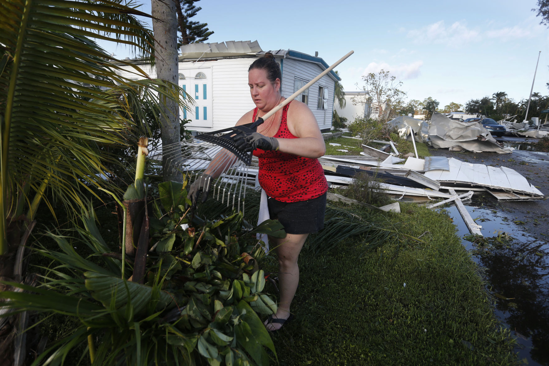 Hurricane Irma